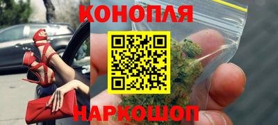 соль ск Новозыбков